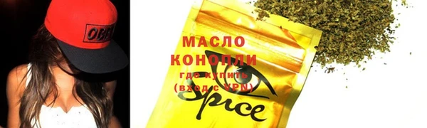 тгк Богородицк