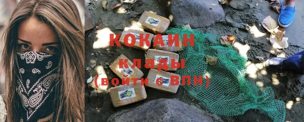 тгк Богородицк