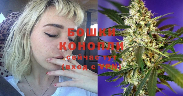 тгк Богородицк