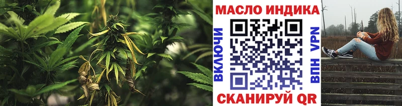 дарнет шоп  Светлогорск  ТГК THC oil 