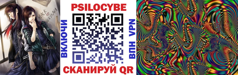 blacksprut как войти Светлогорск Галлюциногенные грибы мицелий