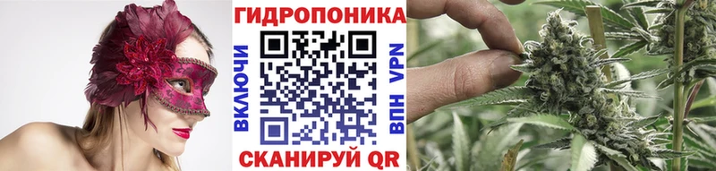Марихуана план где найти mega Светлогорск
